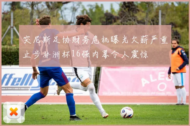 突尼斯足协财务危机曝光欠薪严重止步非洲杯16强内幕令人震惊